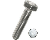Steel Screw M10x25 mm (Galvanized)